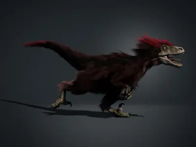 Raptor in Maya 3D model