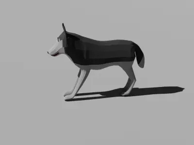 Wolf Low-poly husky 3D model