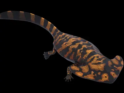 Diplocaulus Asset Pack Low-poly 3D model