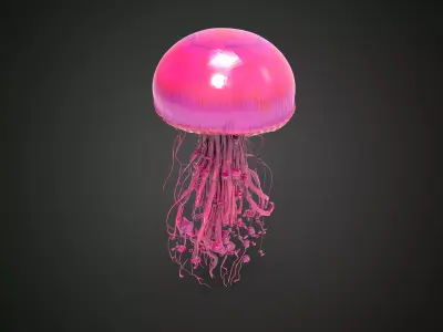 Pink  jellyfish 3D model