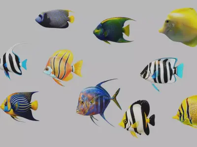 Fish 10 3D model