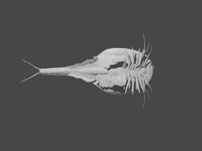 triops sea creature 3D model
