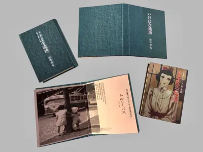 2-type of Books Set Free low-poly 3D model