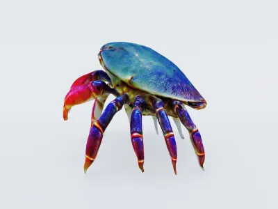 Sea Crab Free 3D model