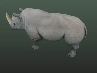 Rhino Hybrid Game Low-poly 3D model