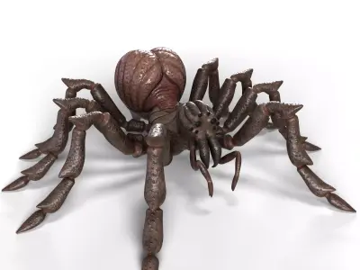 Spider Rigged and Animated Low-poly 3D model