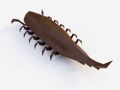 Woodlouse Bug 3d model  Low-poly 3D model