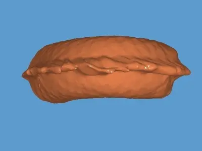 MakeIT 3 Piece Dragon Figure Head Body Tail 3D Model 3D model