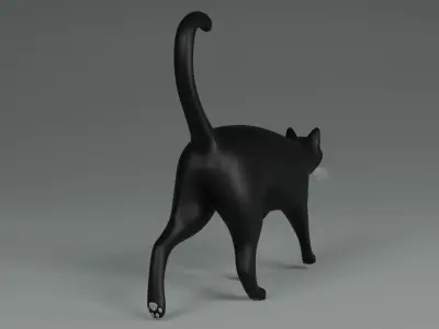 Domestic Black Cat 001 3D model