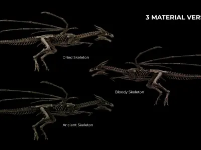 Dragon Wyvern Skeleton Low-poly 3D model