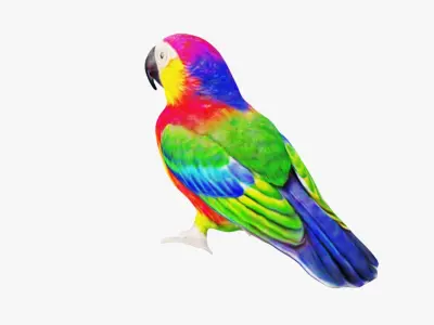Parrot Free 3D model