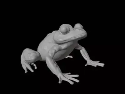 Frogg 3D print model