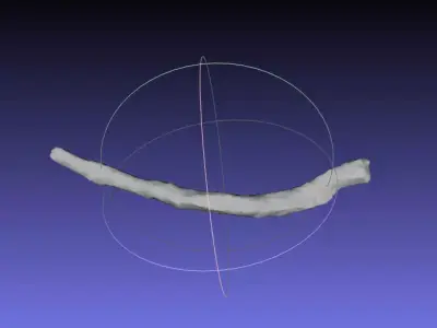 Psittacosaurus Right Dorsal Rib 1 Mirrored Free 3D print model