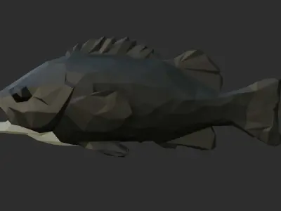 Low Poly Black Rockfish Low-poly 3D model