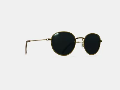 Rafael Sunglasses in Polished Gold 3D model