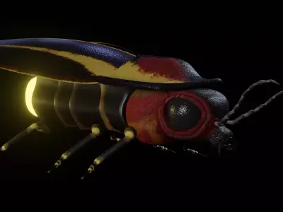 Firefly Realistic model beetle 3D model