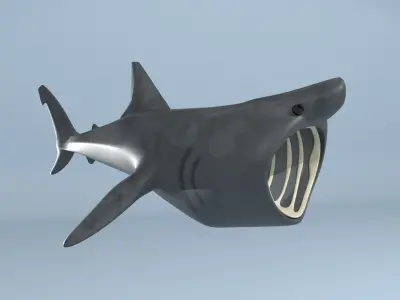 Stylized Basking Shark Low-poly 3D model
