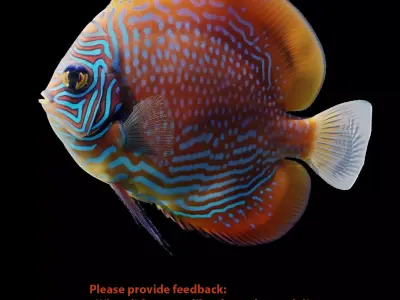 Discus fish Free 3D model