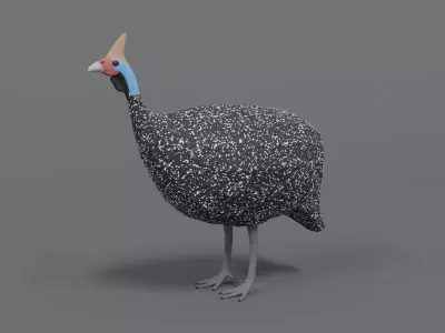 Low Poly Cartoon Helmeted Guineafowl Low-poly 3D model