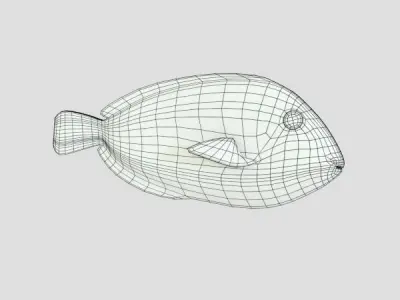 Blue Tang Low-poly 3D model