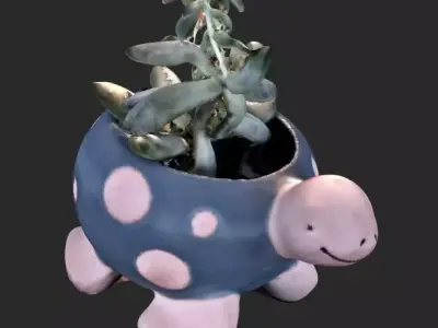 Succulent Turtle Pot Plant 3D model