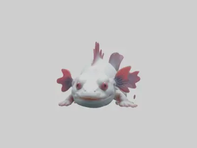 Axolotl Model 1 Low-poly 3D model