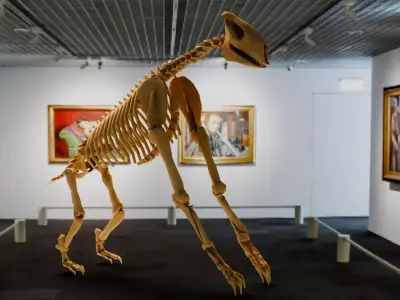 Realistic Mammals Fossil - Chalicotherium Low-poly 3D model