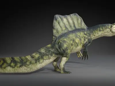 Spinosaurus Rig Low-poly 3D model