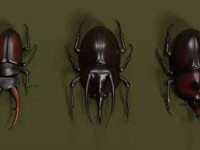 Stag rhinoceros atlas beetles realistic plus gold textures 3D model