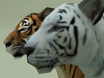 LowPoly Tigers two Free low-poly 3D model