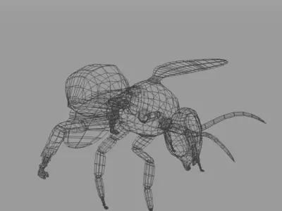 African Bee Low-poly 3D model