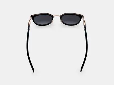 Whittier Sunglasses in Jet Black with Polished Gold 3D model