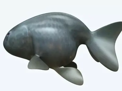 Rancu Fish 3D model