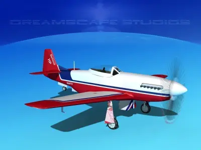 P-51 Mustang Sport Serious 3D model