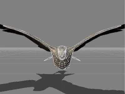 seagull v1 Low-poly 3D model
