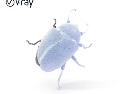 Iridescent Beetle D Model Pack with High Detail Low-poly 3D model