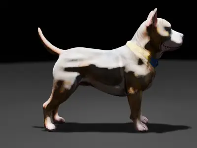 Pakistani Pitbull dog model free download Free low-poly 3D model