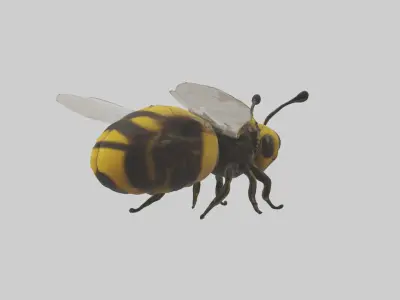 Bumblebee Model 1 Low-poly 3D model
