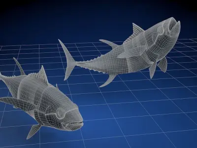 Yellowfin Tuna Fish Low-poly 3D model