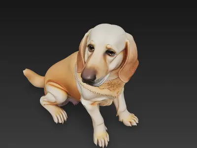 Golden Retriever Dog Realistic 3D Model - Low Poly Realistic Low-poly 3D model