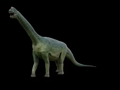 Camarasaurus dinosaur Low-poly 3D model