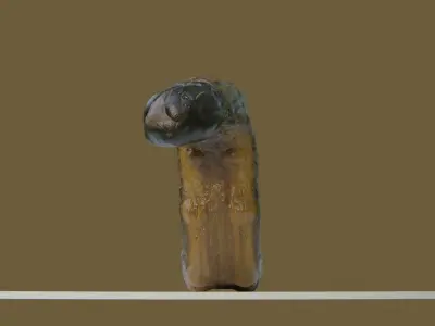 Young Fall Armyworm Low-poly 3D model