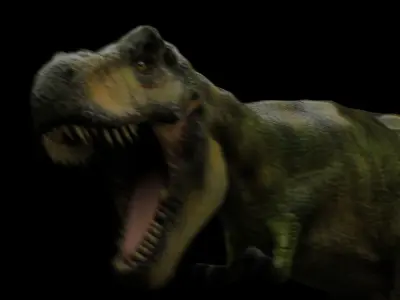 T-Rex Male Rigged and animated  Low-poly 3D model