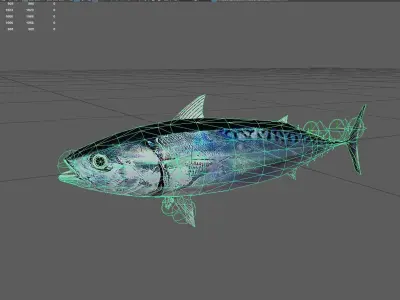 Bullettuna Low-poly 3D model