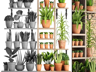 collection of plants in clay pots PART 2 3D model