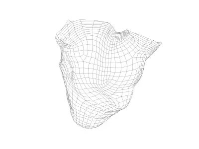 Photorealistic 3D scan of sea oyster shell Low-poly 3D model