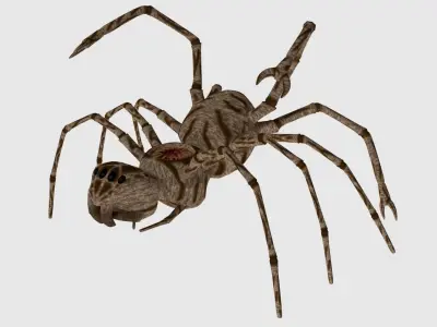 Spider Monster - Game Ready Low-poly 3D model