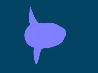Ocean Sunfish Mola  3D model