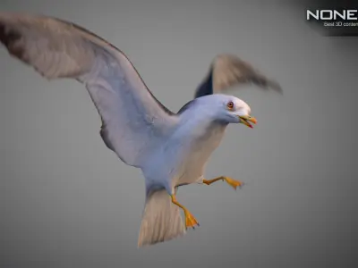 Animated Seagull Low-poly 3D model