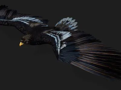 Eagle A3 3D model